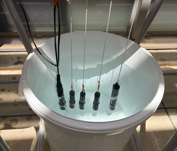 intercomparaison sondes (1)